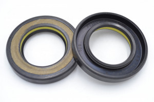 Simering TCS 32x53x8.5, TIu, M19
