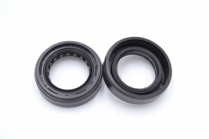 Simering ARS 20x32x8/9.5, BISRS, B55, F01337