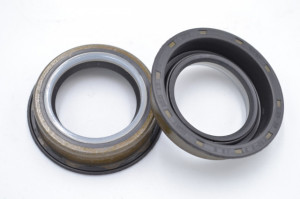 Simering C 25x35/40x8.3/9.6, CMTN, F41