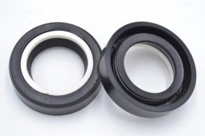 Simering HSS 25x39.4x10, TN, F83