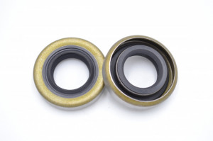 Simering NK 17*32*7.2, CM BPI, A25, 17X32X7,2, 040750F, F00151