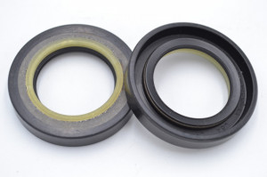 Simering OEM CR 28*44.6*7.5, TN z, J60, 28X44,6X7,5, 1300843, F00843