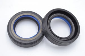 Simering OEM FNI 25x38.2x10, TIBIguyz, F80