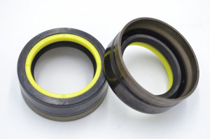 Simering R1 TCS 27.5x39x15, TN, I01