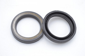 Simering C 25*35*5.5, FA BI, F33, 25X35X5.5, 0300628,