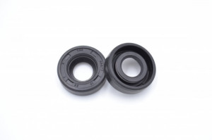 Simering CHO 10x22x7, BI, A03