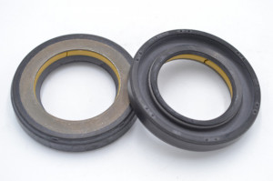 Simering FNI 30*48.2*8.5, TI uyz, L12, 30X48,2X8,5, 0804484, F00801