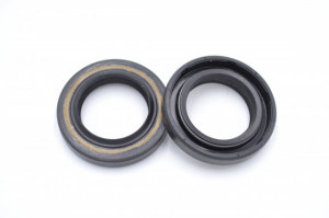 Simering TG 21*33*5.5/7, BP BI, C02, 21X33X5,5/7, 1701022, F01022