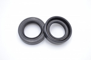 Simering TGE 19x29x7/8, BPBI, A62, F00459M