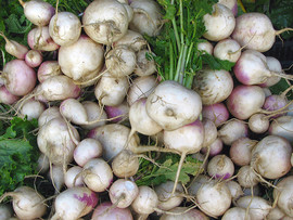 Napi