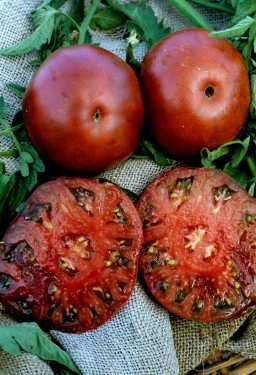 Tomate Black Krim - Img 2