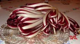 Radicchio rosie Di Treviso - Img 4