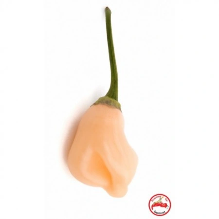 Ardei iute Aji Peach Fantasy - Img 2