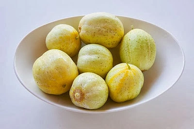 Castravete Lemon - Img 4