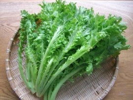 Mustar oriental Wasabi-na - Img 3