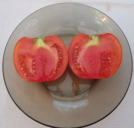 Tomate Buzau 50 - Img 4