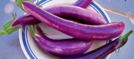 Vinete Long Purple - Img 6
