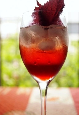 Shiso red - Img 5
