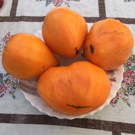 Tomate Inima de Bou Orange - Img 5