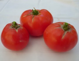 Tomate soi Romanesc Ghittia