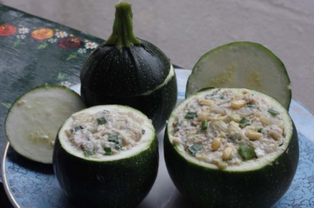 Dovlecel zucchini Piacenza Round Dark