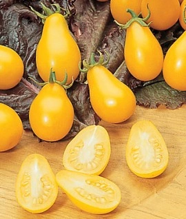 Tomate cherry Yellow Pearshaped - Img 2