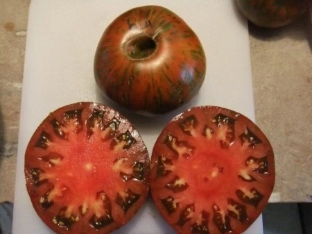 Tomate Chocolate Stripes - Img 3