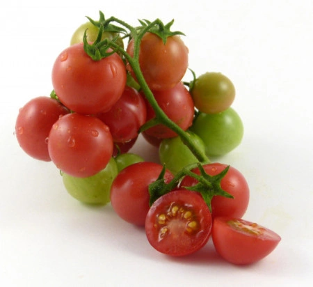 Tomate cherry Gartenperle - Img 6