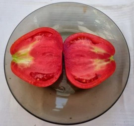 Tomate Coeur d'Albenga - Img 8