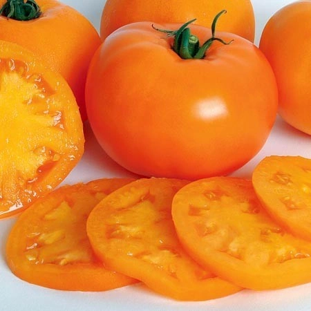 Tomate Orange - Img 2