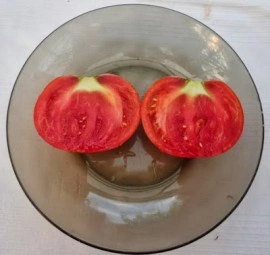 Tomate soi Romanesc Ghittia - Img 3