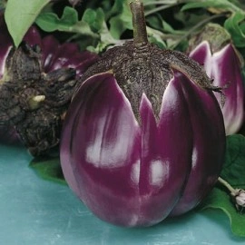 Vinete Violetta di Firenze - Img 3
