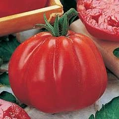 Tomate Coeur d'Albenga - Img 2