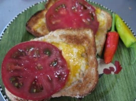 Tomate Cherokee Purple - Img 5