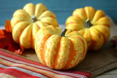 Dovleac decorativ Carnival Squash - Img 2
