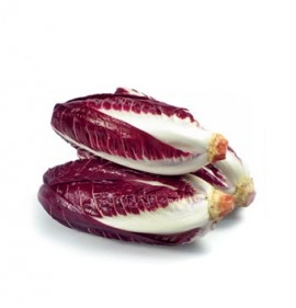 Radicchio rosie Di Treviso - Img 2