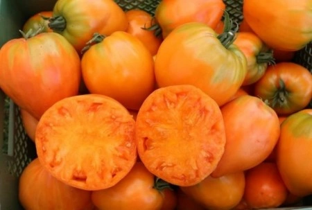 Tomate Inima de Bou Orange - Img 2