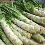 Celtuce-Lactuca sativa var.Augustana - Img 5
