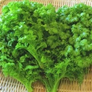 Mustar oriental Wasabi-na