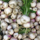 Napi