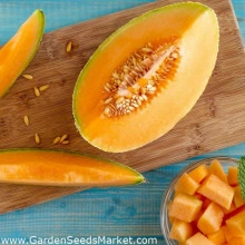 Pepene galben Melba