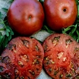 Tomate Black Krim - Img 2
