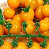 Tomate cherry Cereza Amarilla