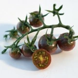 Tomate cherry negre - Img 3