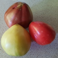 Tomate Inima de Bou Byalo Sartse