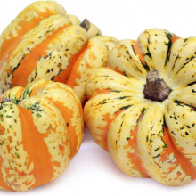 Dovleac decorativ Carnival Squash