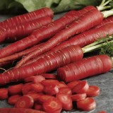 Morcov Atomic Red
