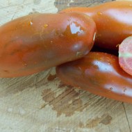 Tomate Black Icicle