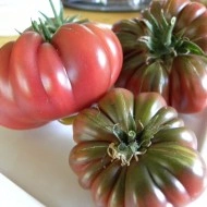 Tomate Purple Calabash