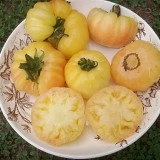Tomate White Princess